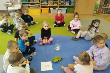 Eksperymenty w Biedronkach