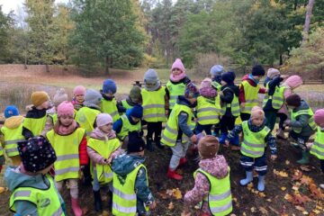 Żabki i Biedronki w Mieszkowicach