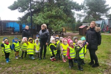 Zbiórka karmy – podsumowanie akcji